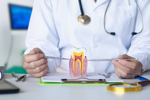 Best Emergency Orthodontic Repairs in Vaville, CA